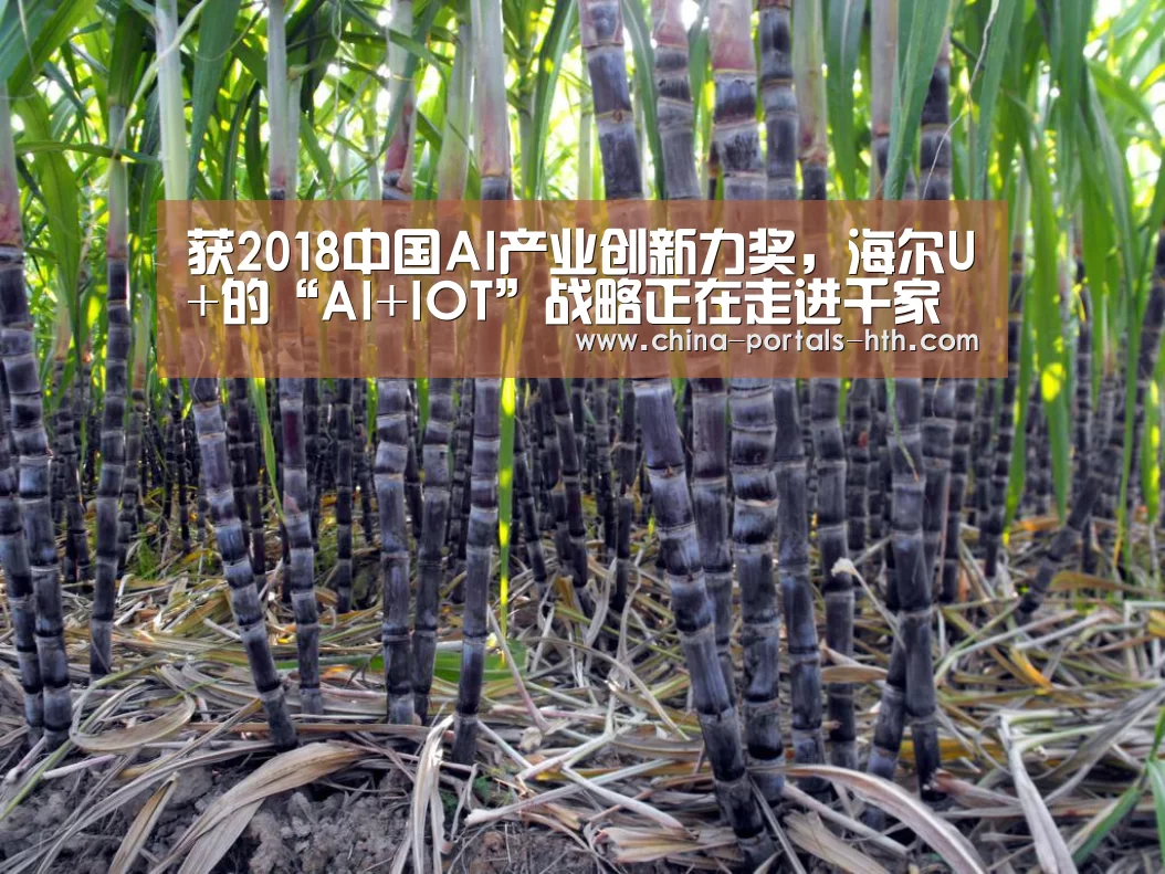 hth网页版